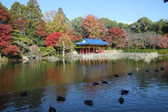 Daisen Park Japanese Garden