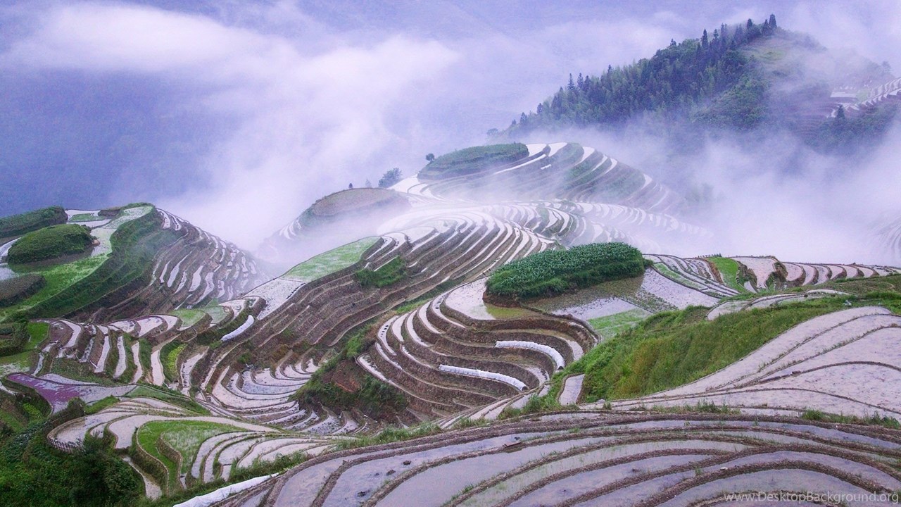 Inagura Rice Terraces