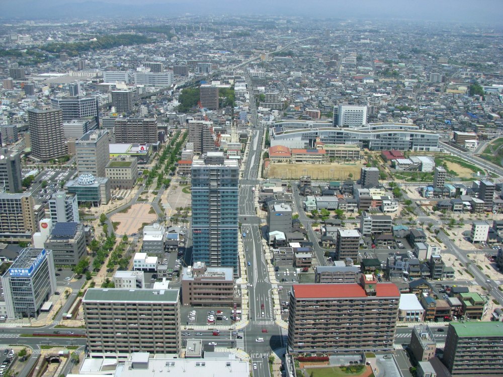 Tachiiwa Farm