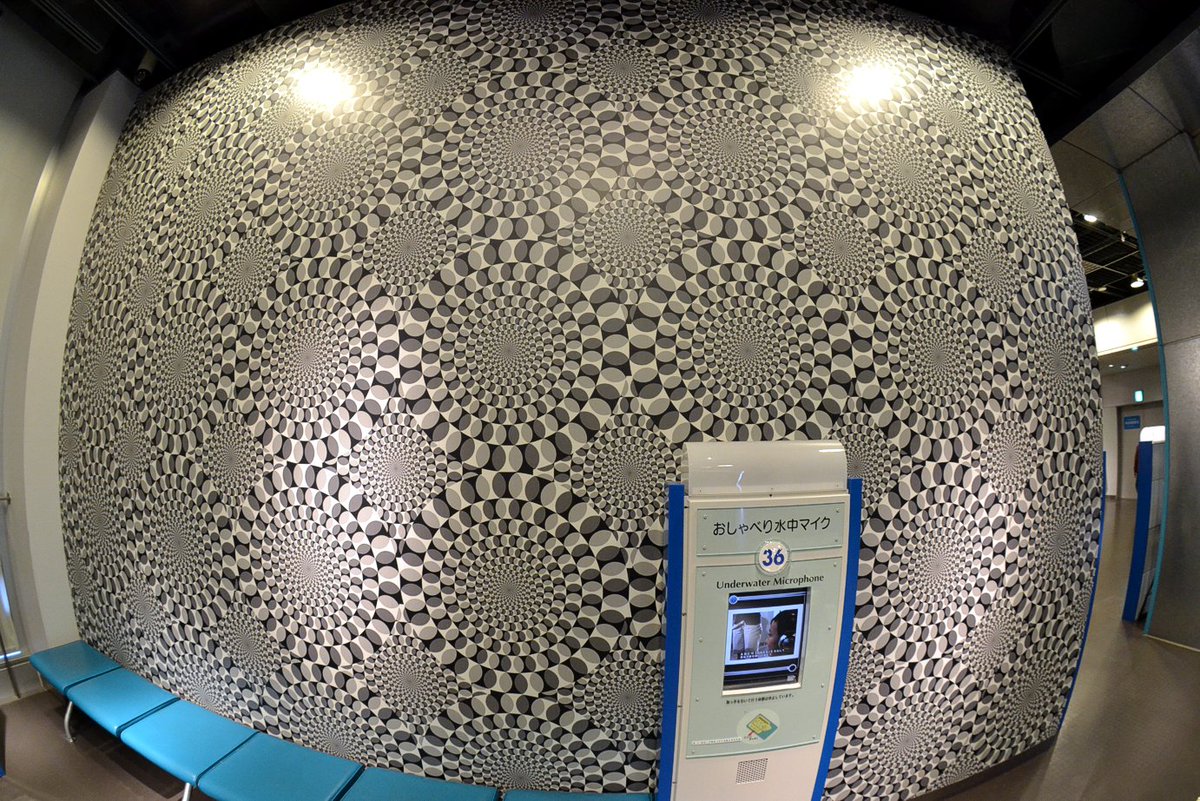 Shizuoka Science Museum Ru Ku Ru