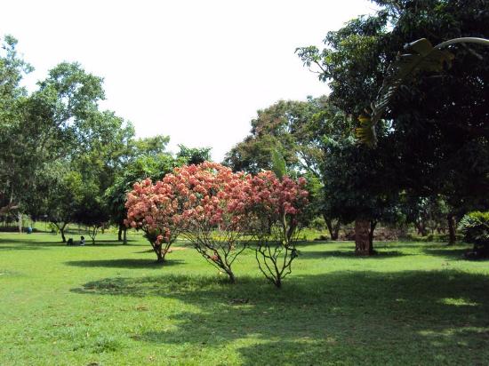 Biju Patnaik Park