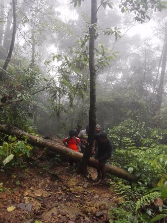 Aralam wildlife sanctuary