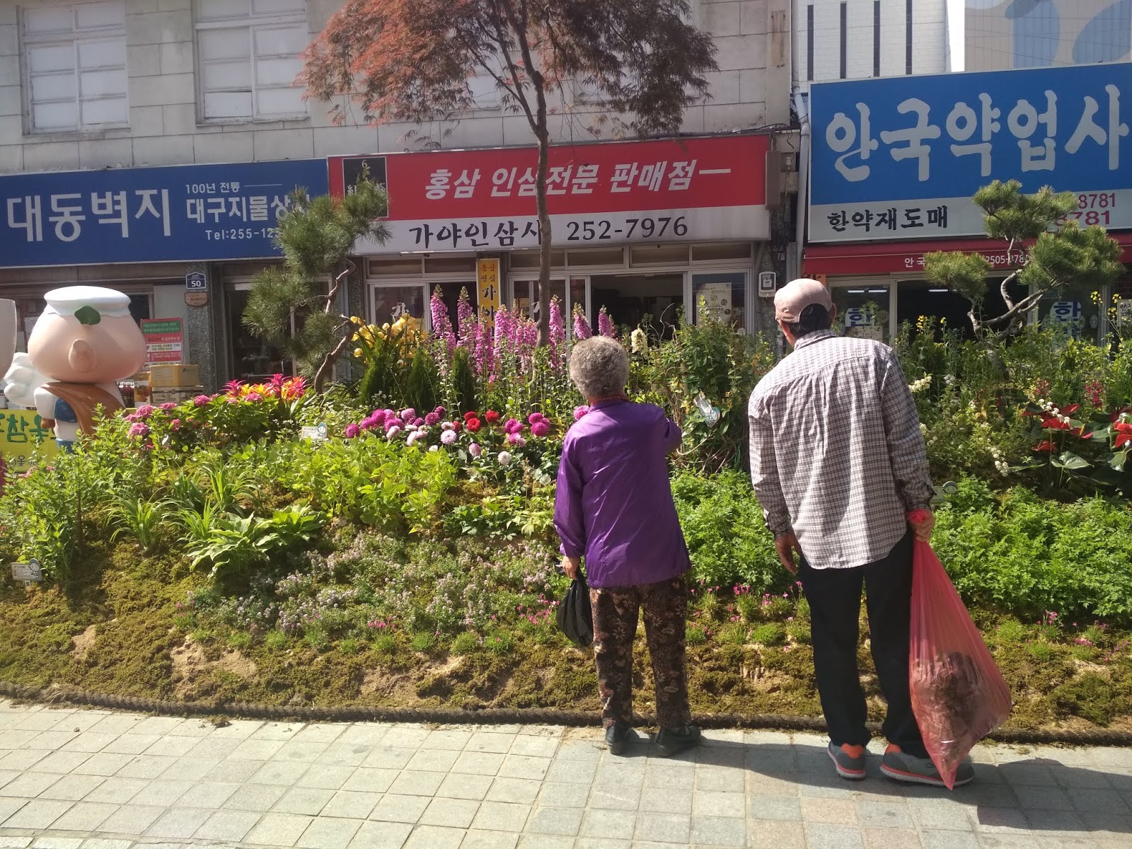 Daegu Yangnyeongsi Herb Medicine Culture Festival