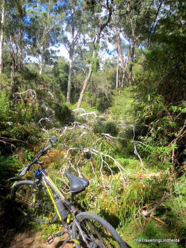Gippsland Lakes Discovery Trail
