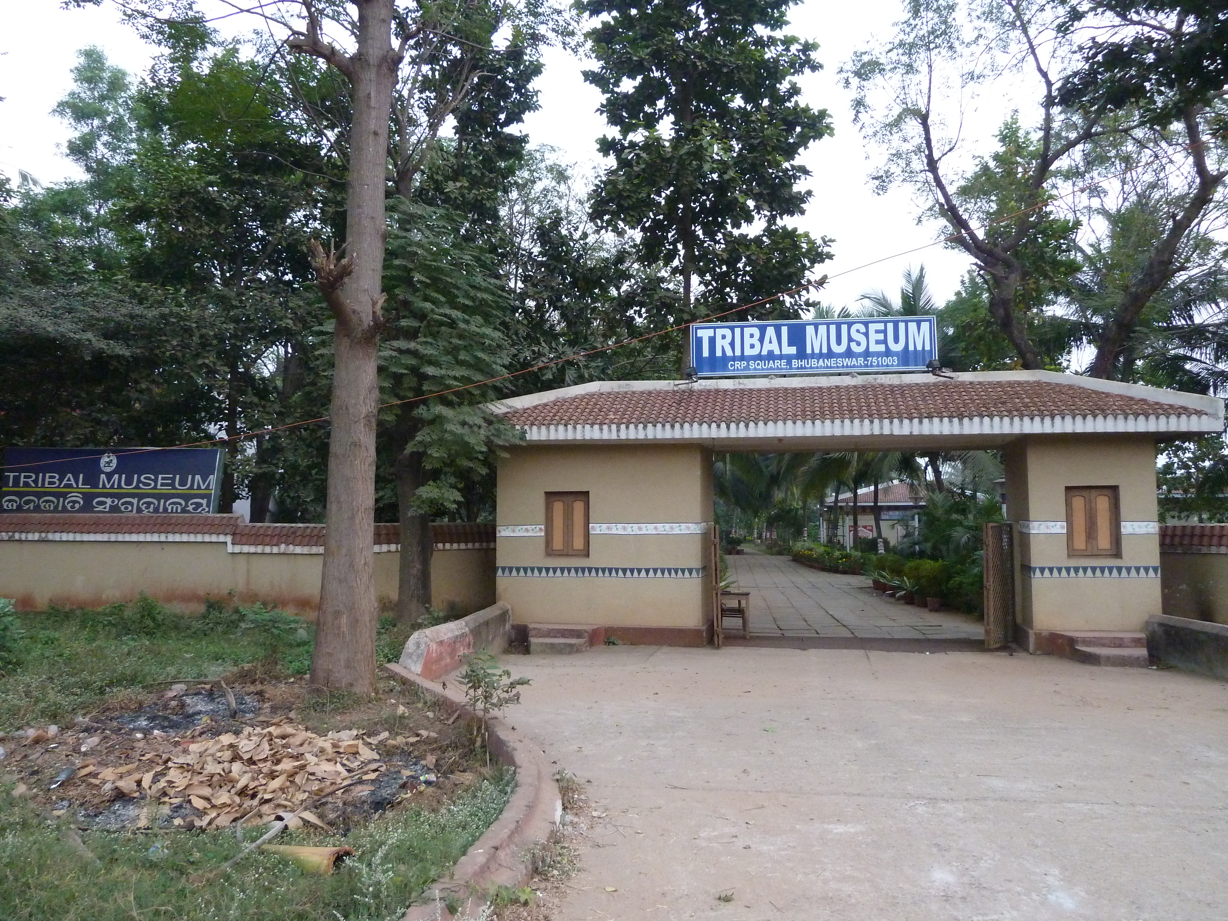 Museum of Tribal Arts & Artifacts