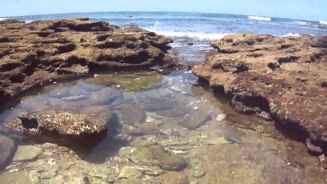 Los Corrales de Rota