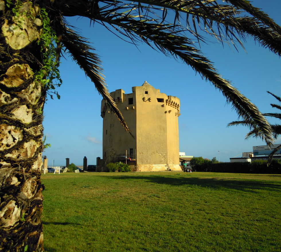 Pineta di La Farrizza
