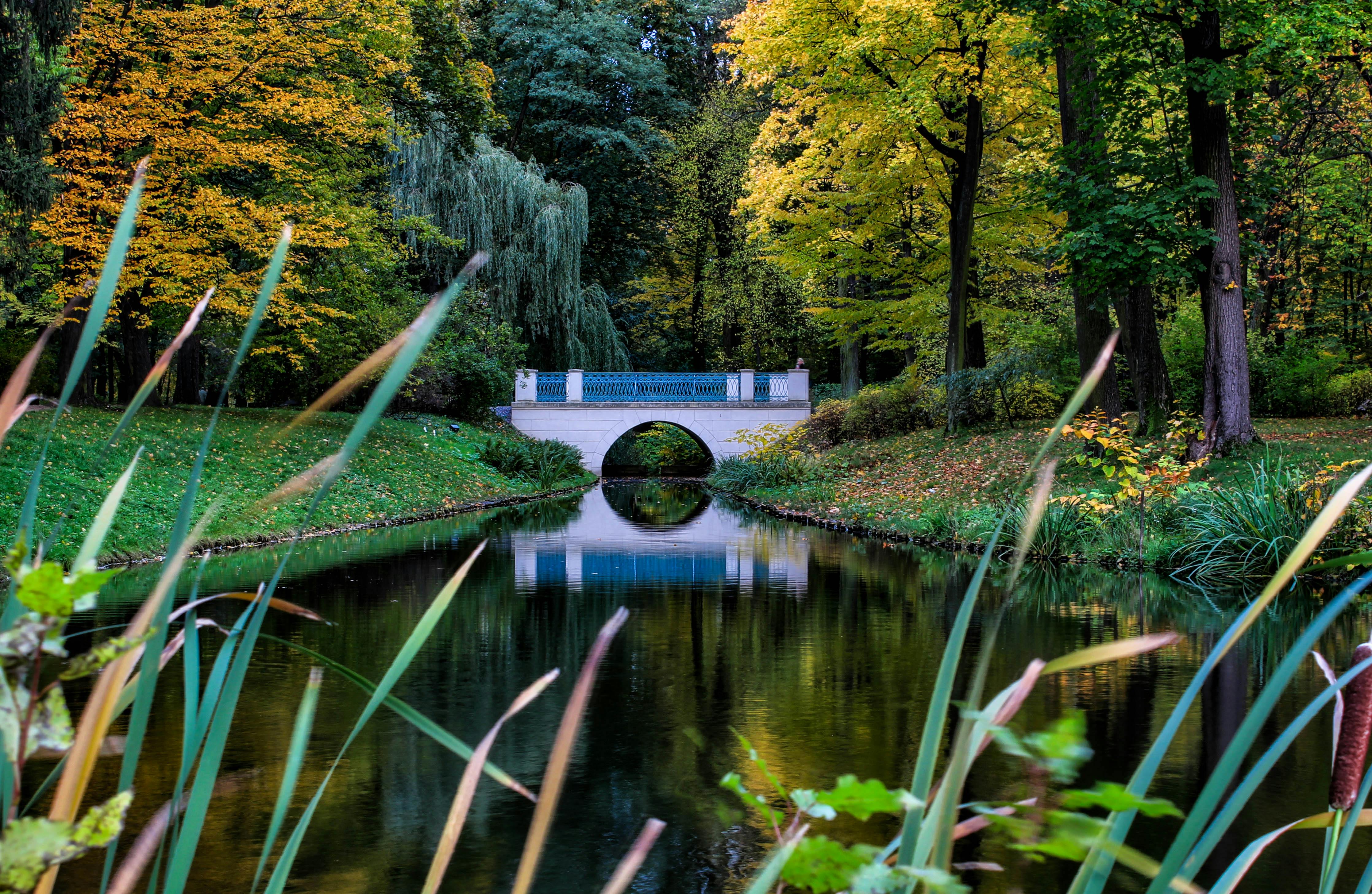Parco delle Farfalle