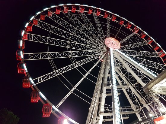The Wheel of Venice