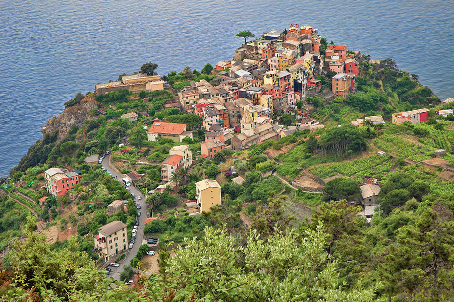 View Point Corniglia