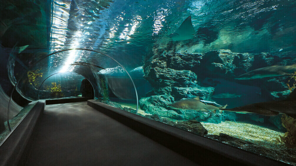 Hanhai Polar Ocean World