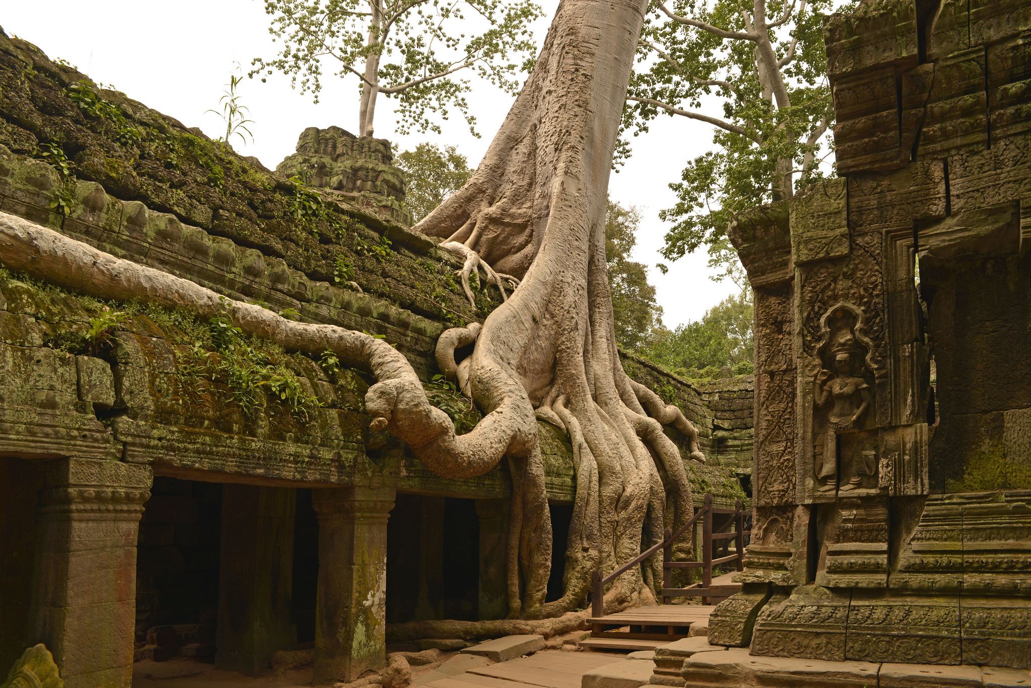 Ta Prohm Temple