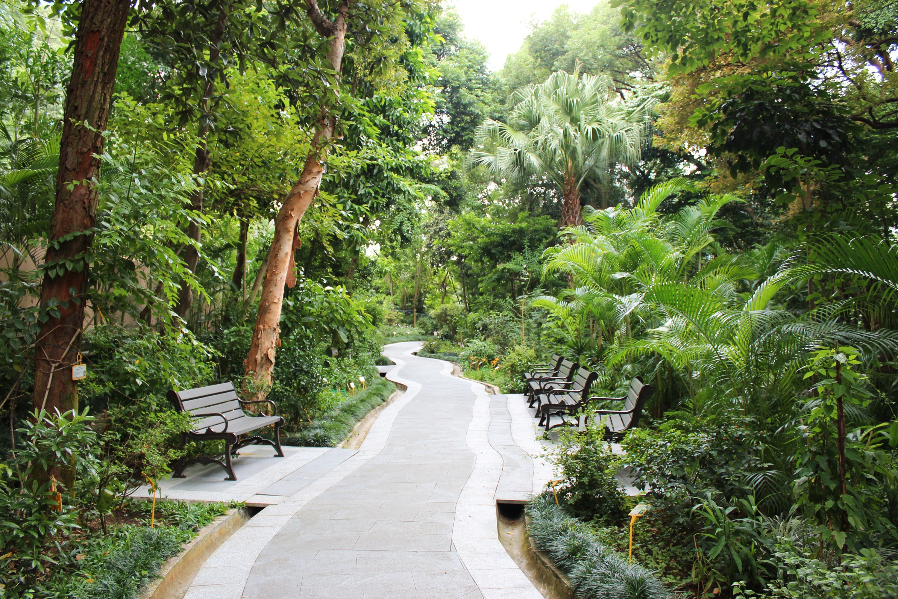 Hong Kong Zoological and Botanical Gardens