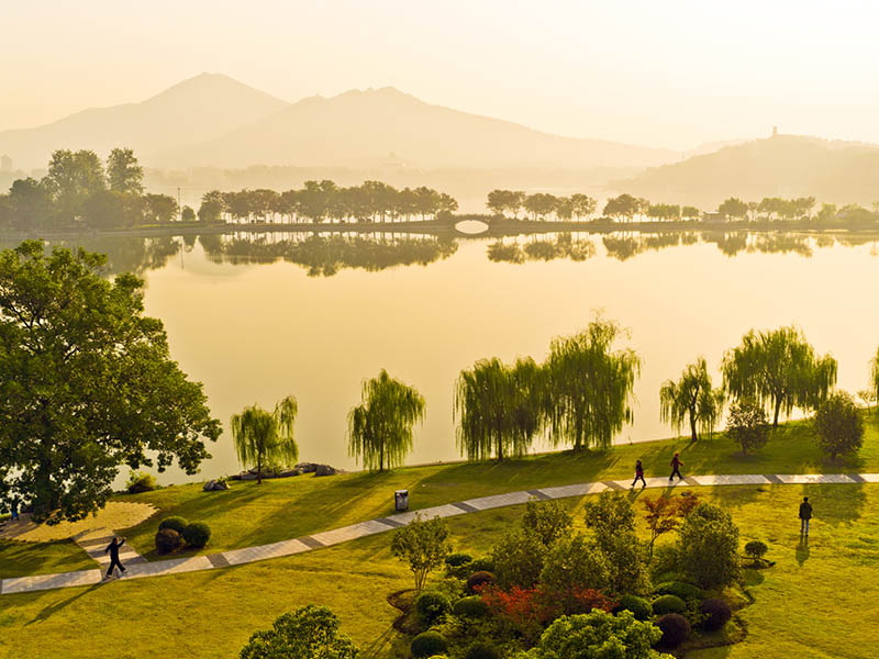 Nanjing Gingko Lake