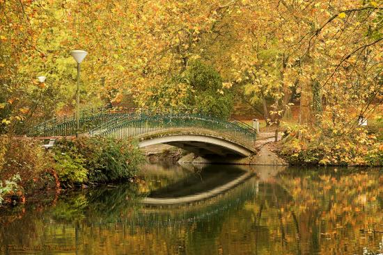 Botanischer Garten Rombergpark