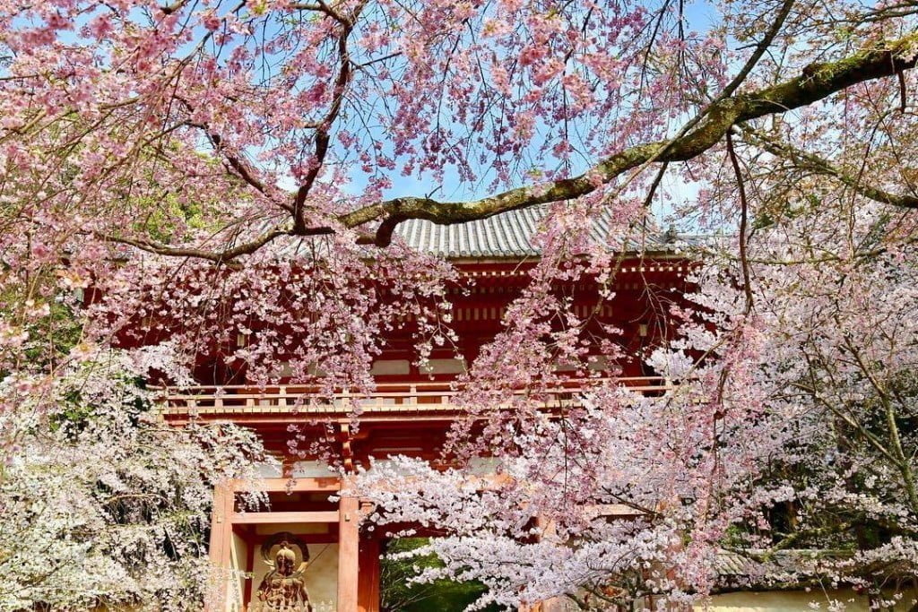Shozen-ji Temple