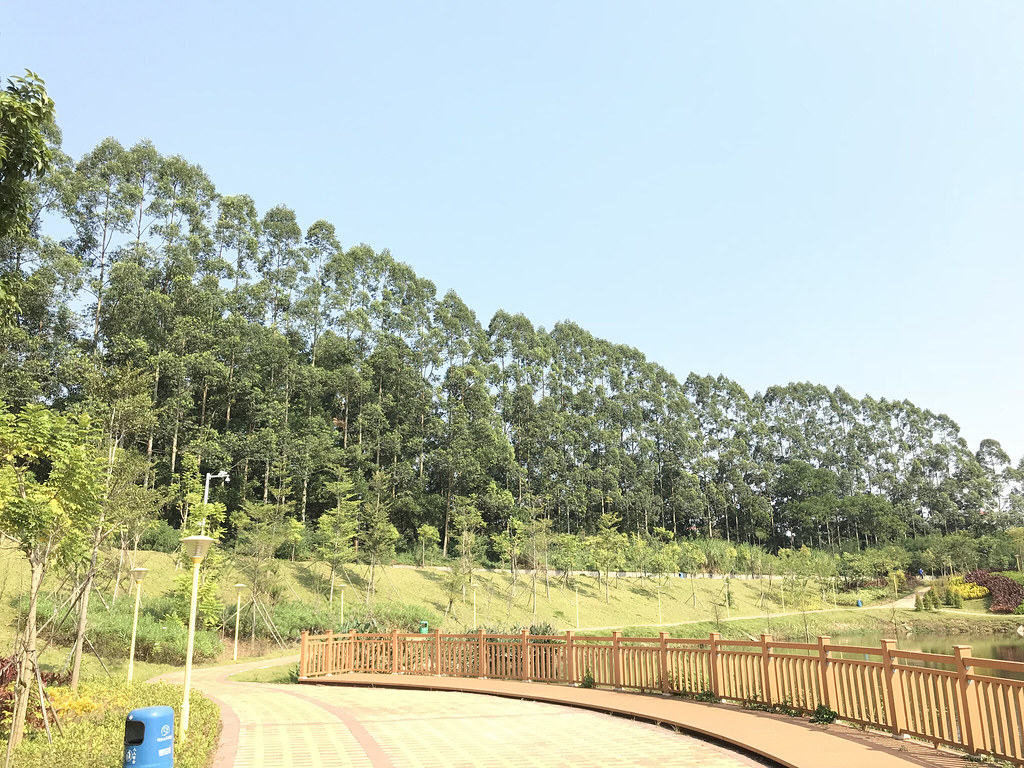 Niu Bo Bo Butterfly Ecological Park