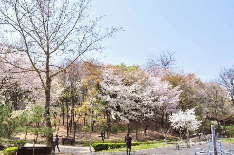 Yongsan Family Park