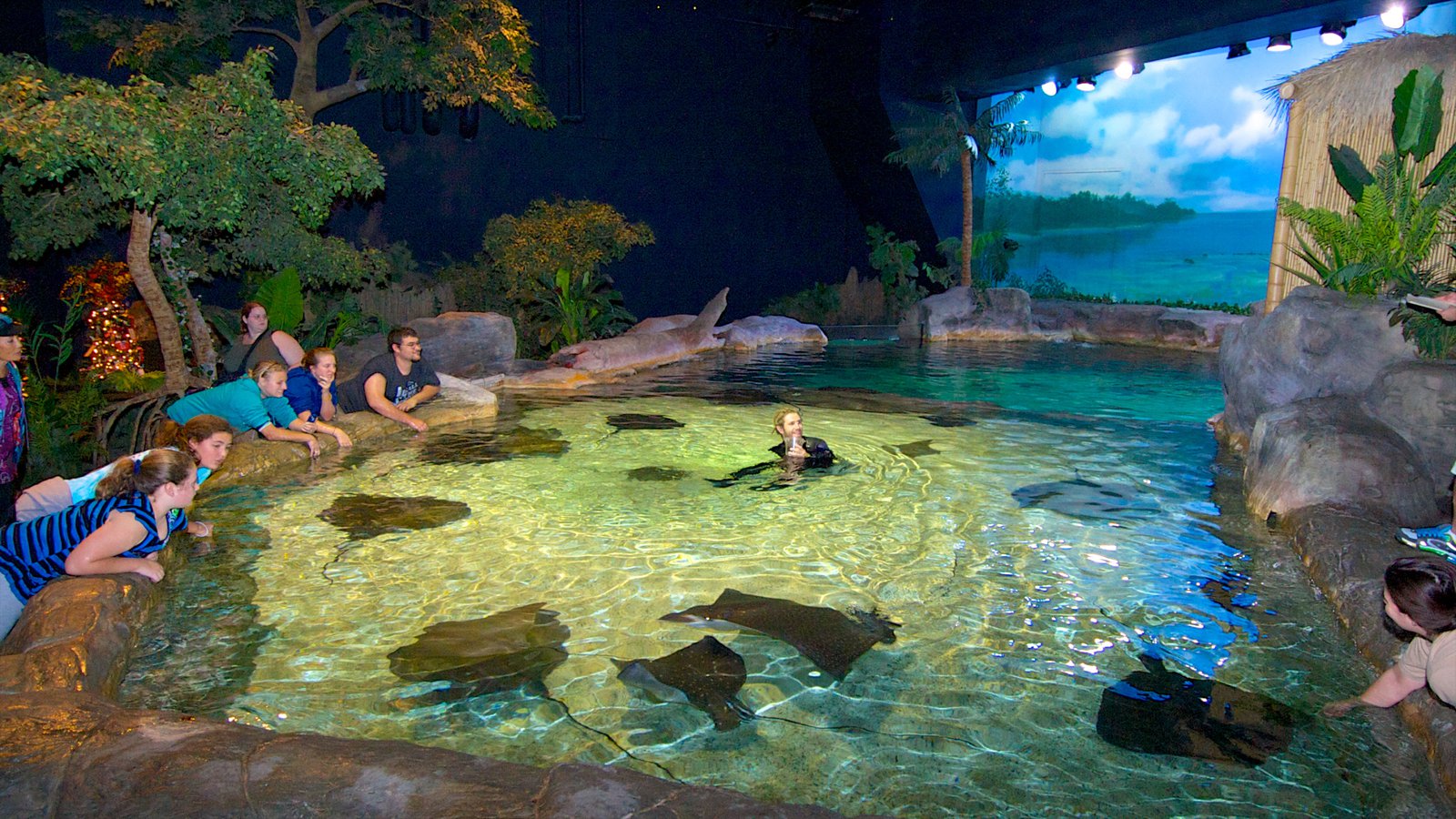 Ripley's Aquarium of Myrtle Beach