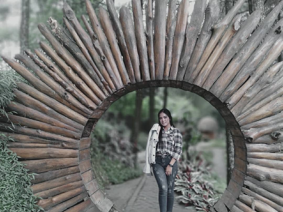Goa Pinus