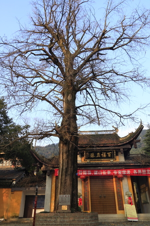 Lingfeng Temple