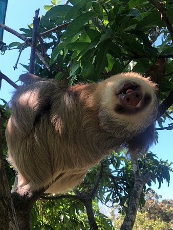 Rescue Center Costa Rica