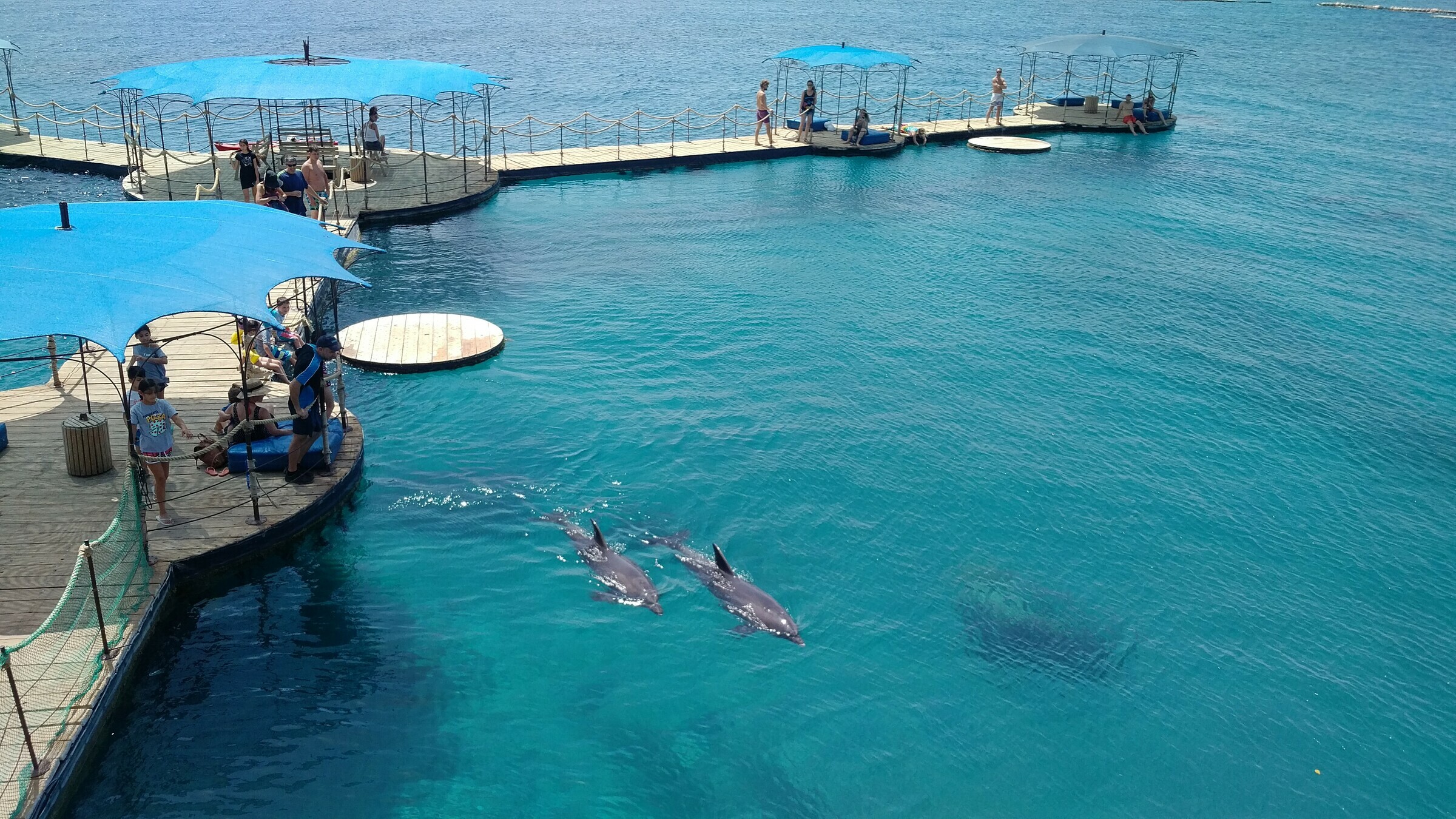 Dolphin Reef