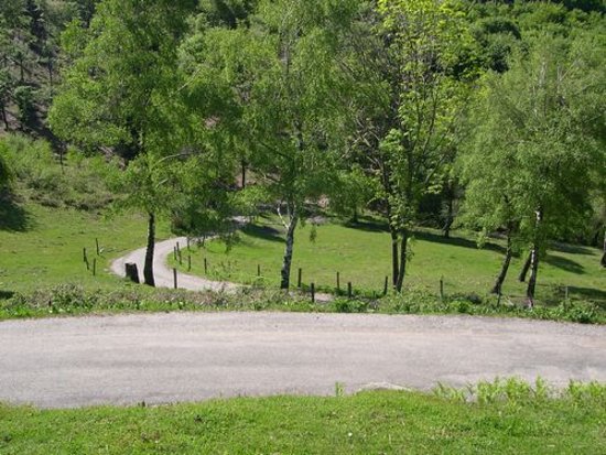 Outdoor Pictures 1