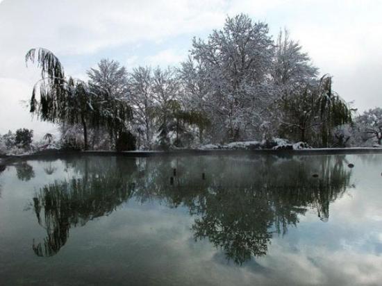Iran Zamin Park