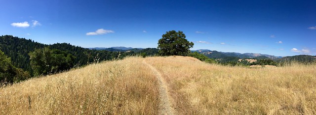 Austin Creek SRA