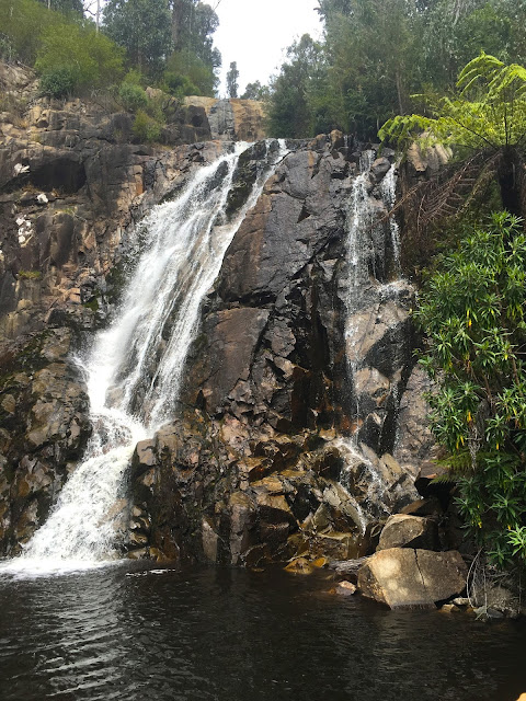 Steavenson Falls