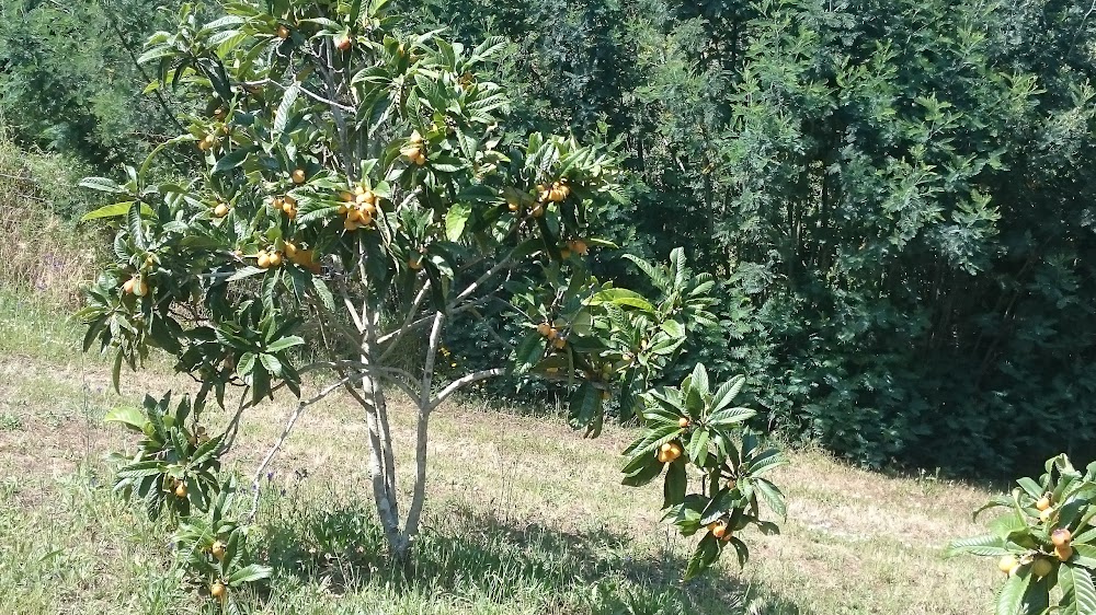 Sant'Armettu