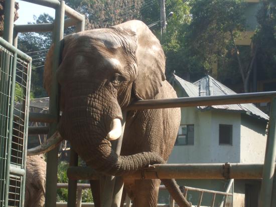 Zoológico Nacional de Chile