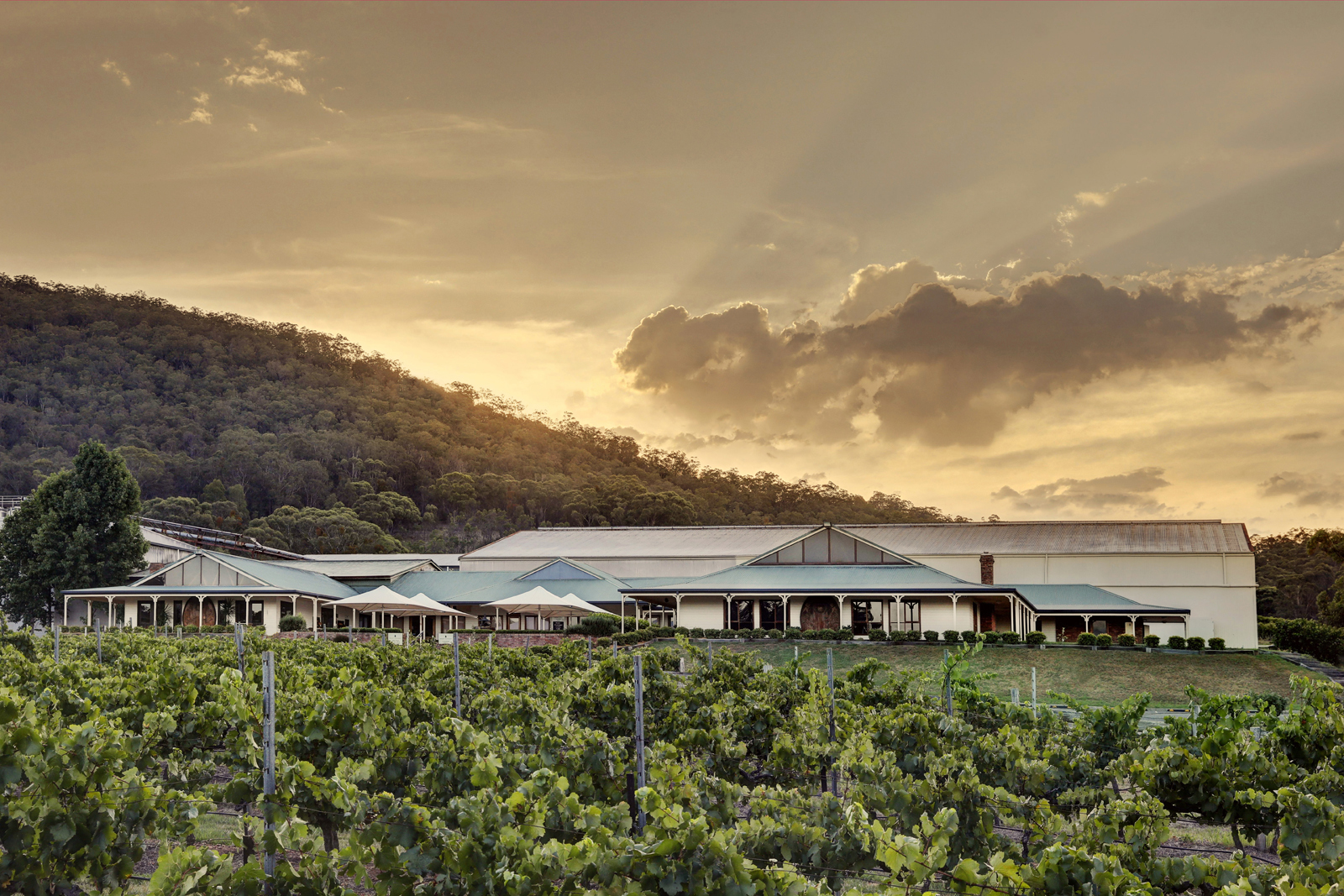 Lake's Folly Vineyard