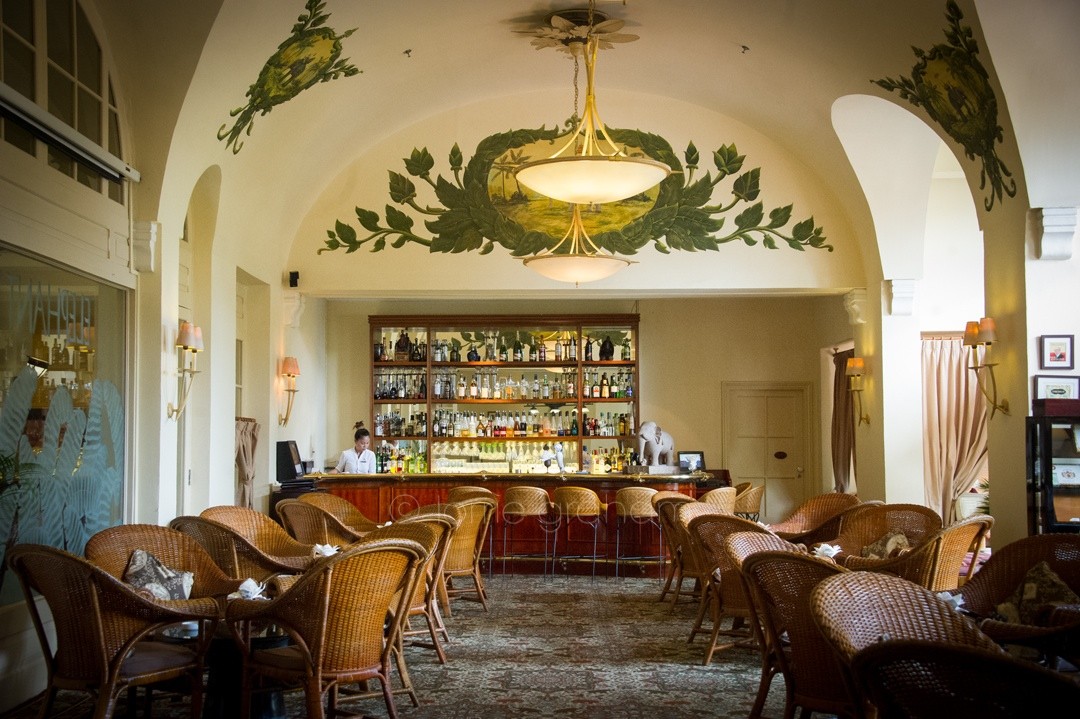 Elephant Bar