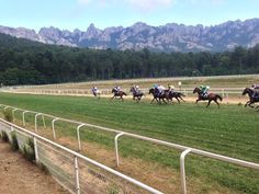 Hippodrome de Viséo