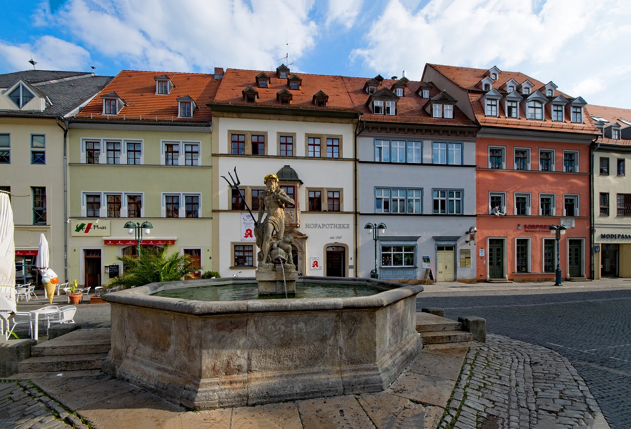 Stubenfliege