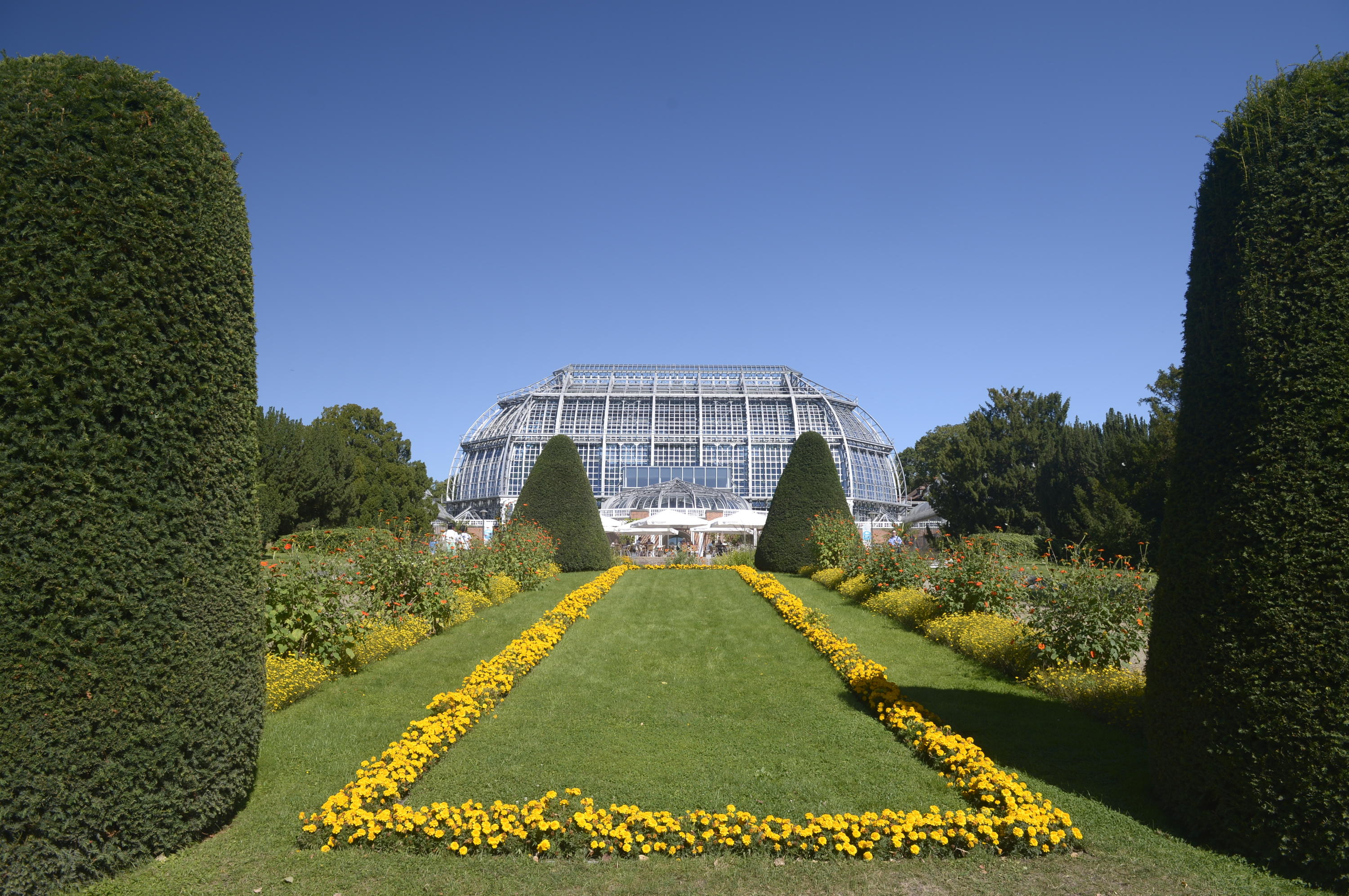 Botanischen Obstgarten