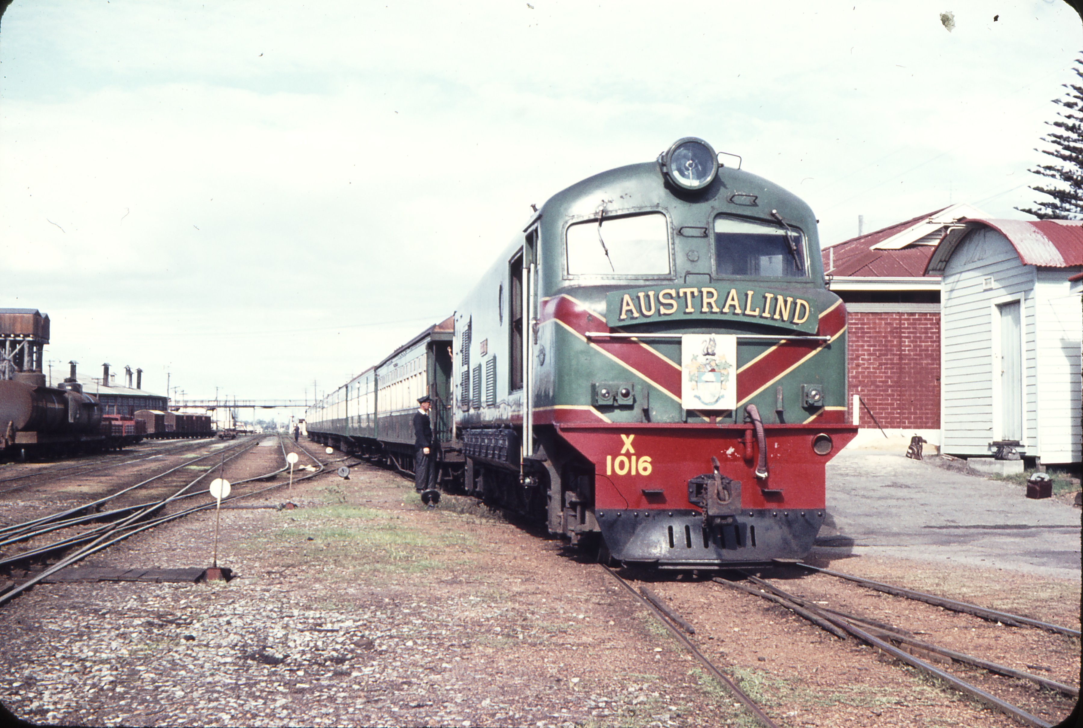 Australind
