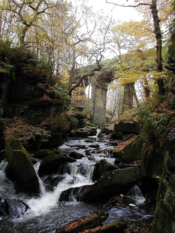 Healey Dell Nature Reserve