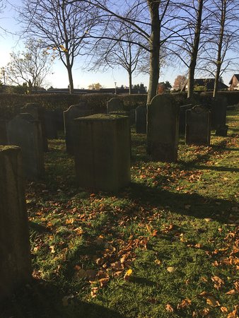 Gänsejunge in Schiefbahn