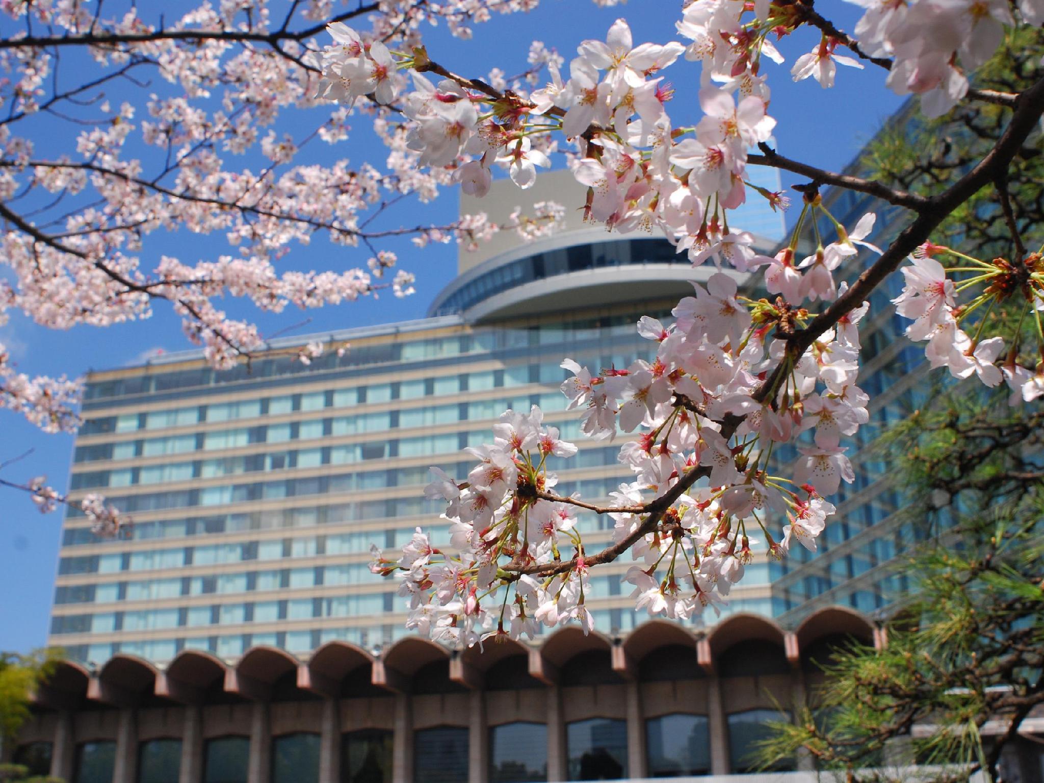 Hotel New Otani Japanese Garden