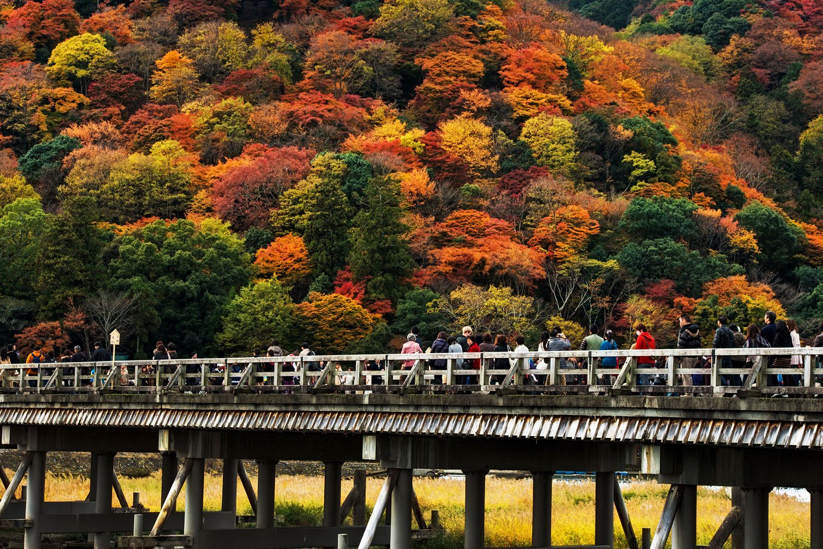 Kangetsukyo Bridge