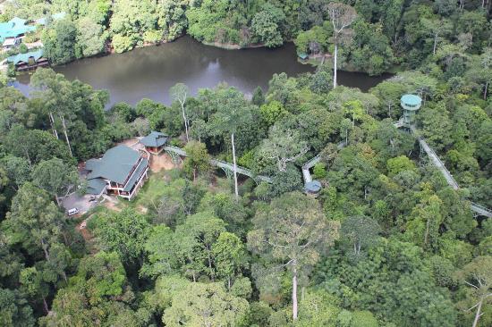 Sandakan Rainforest Discovery Centre (RDC)