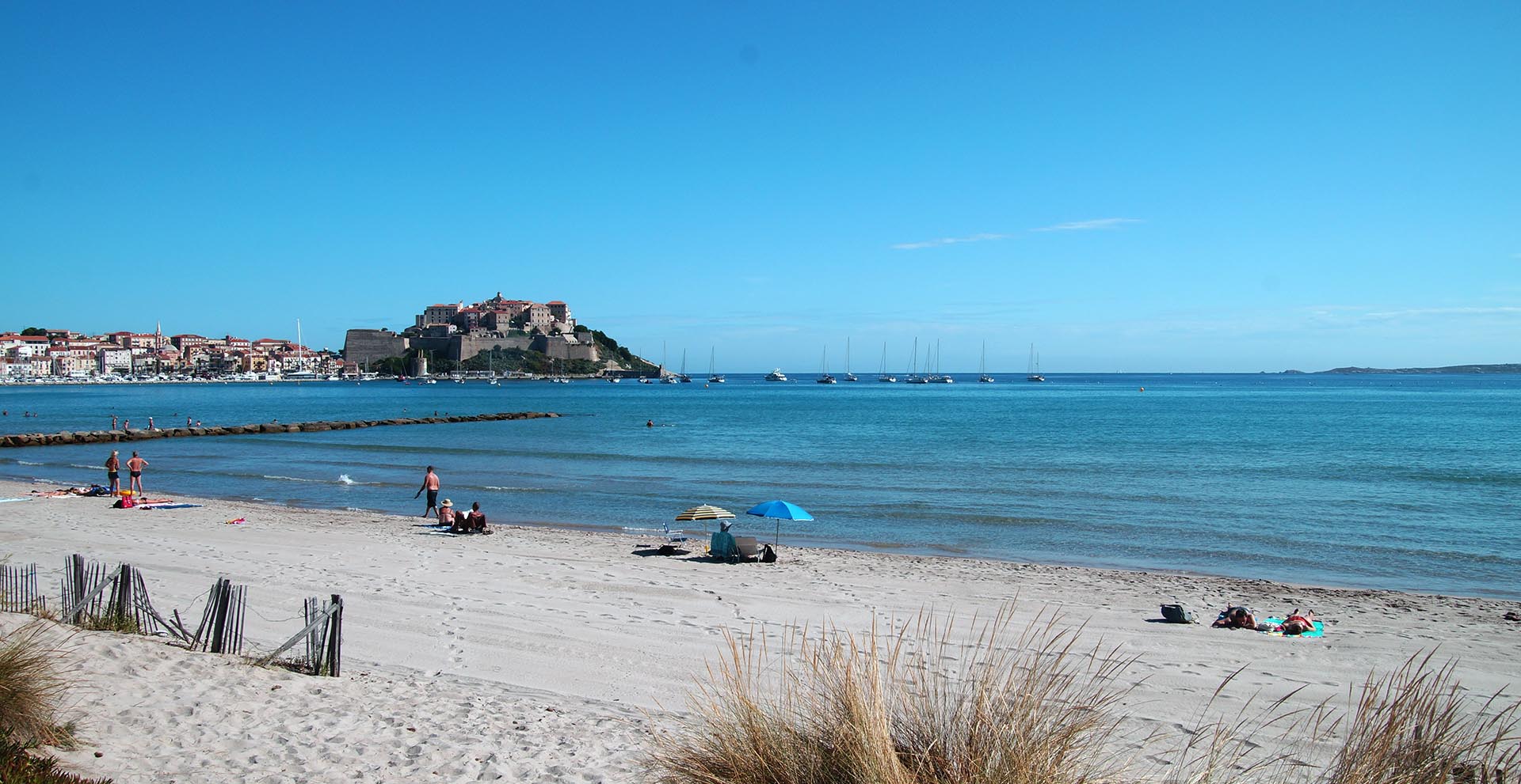 Plage de Calvi
