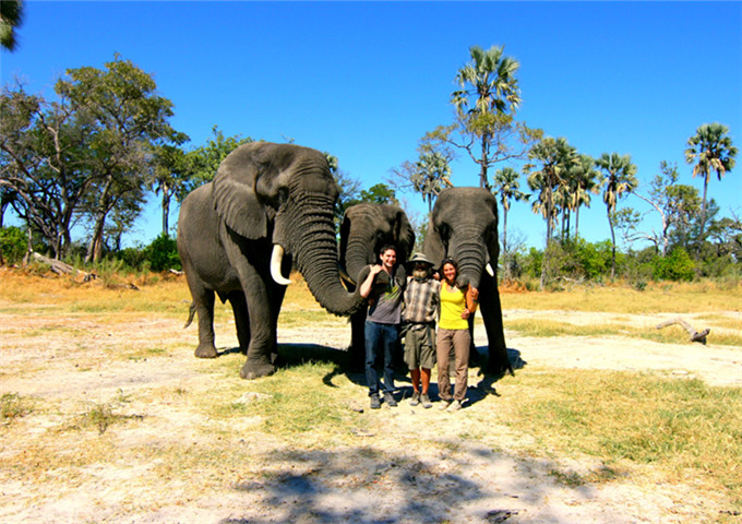 Luangprabang Elephant Camp
