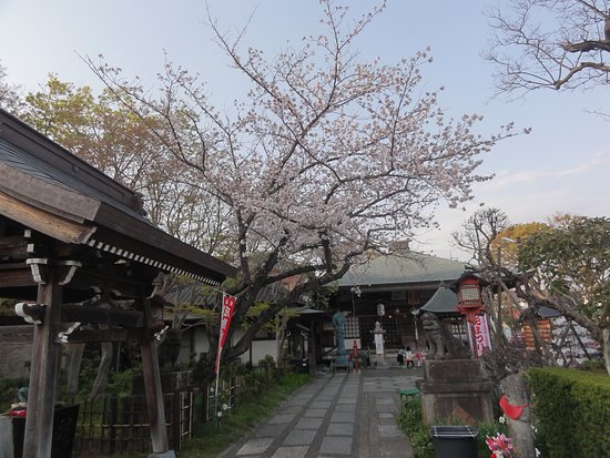 Daito-ji Temple