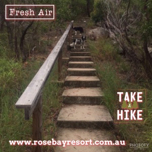 Cape Edgecumbe Walking Trail