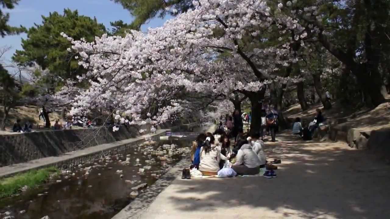 Shukugawa Park
