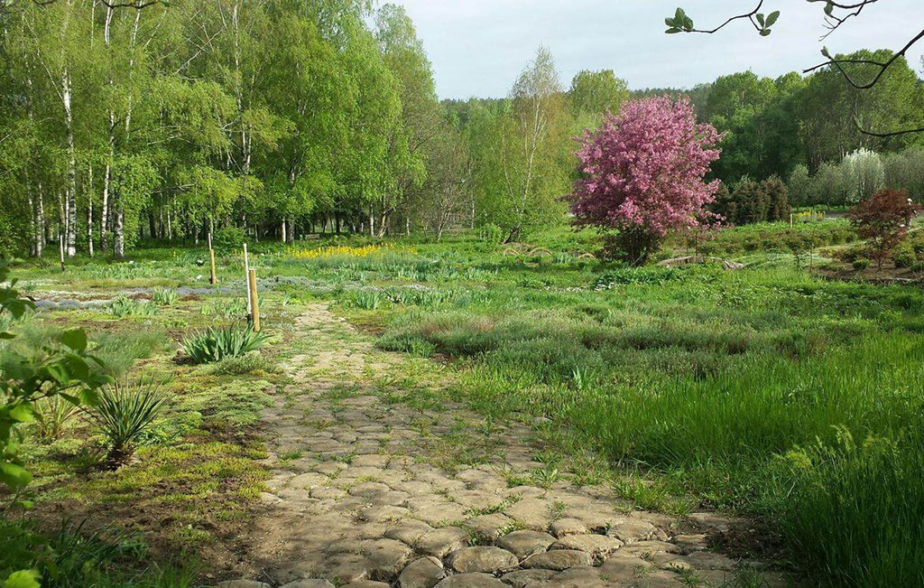 Botanical Garden of the Academy of Sciences of Moldova